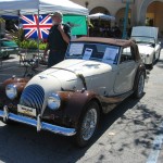 Royal Palm Feb 09 014 - Copy