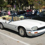 Royal Palm Feb 09 055