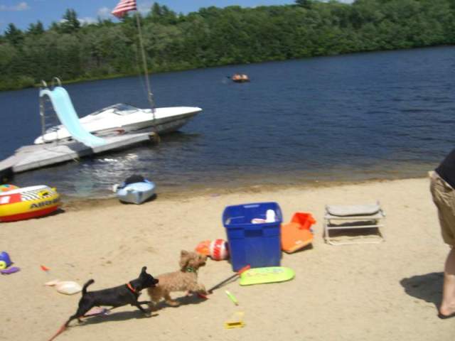 Douglas Day at Camp 032