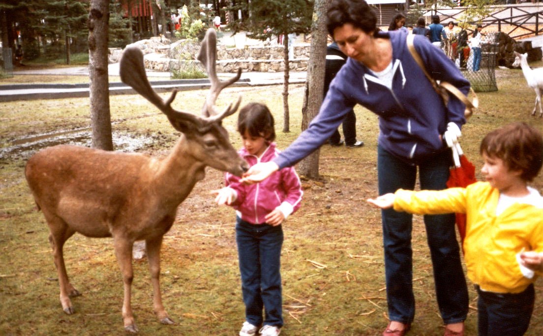 86rndeer