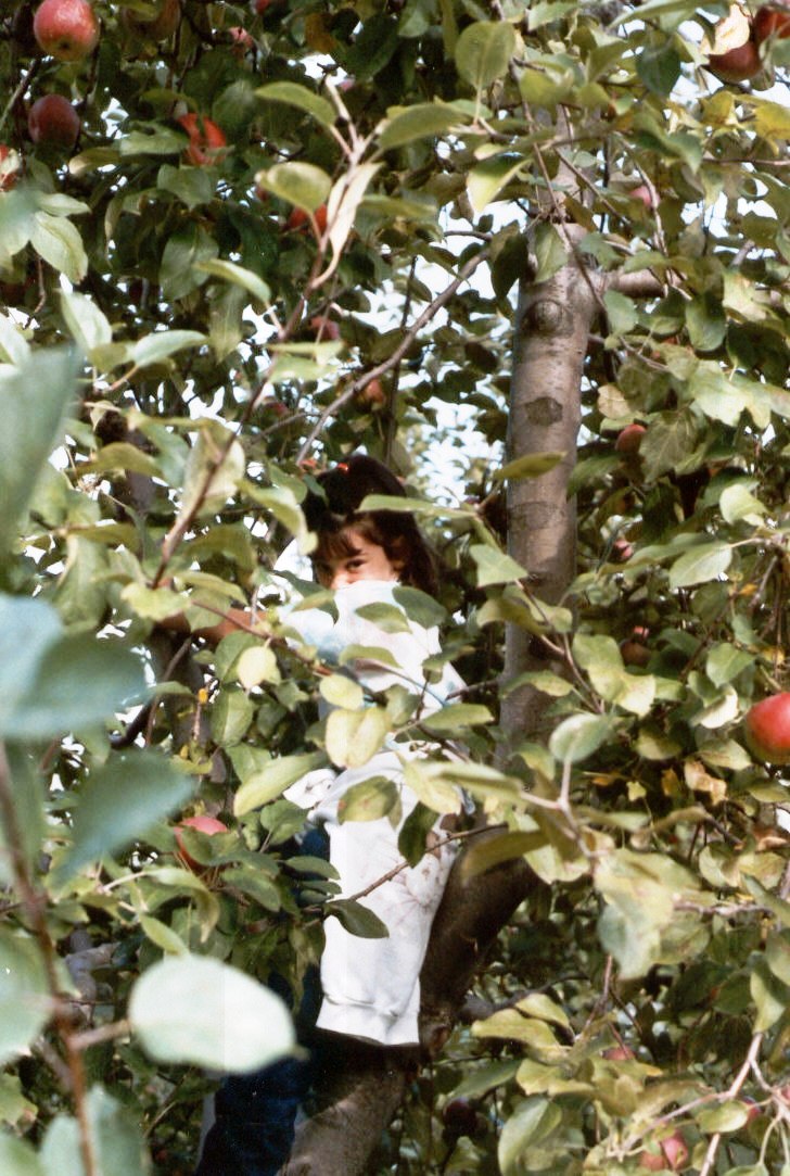 87apples